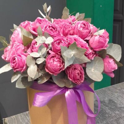 Мисти Бабблз в коробке