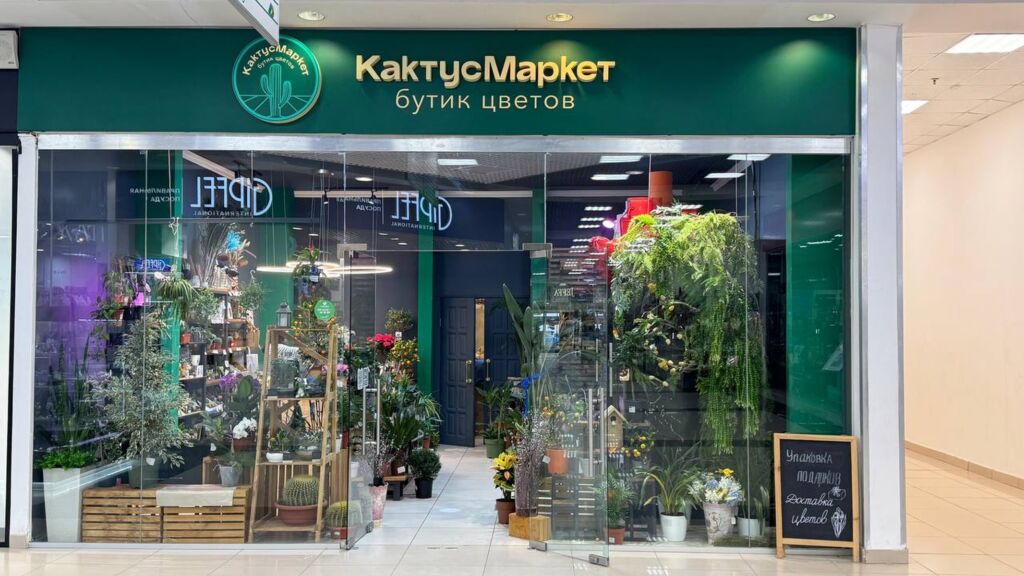 Добро пожаловать в КактусМаркет